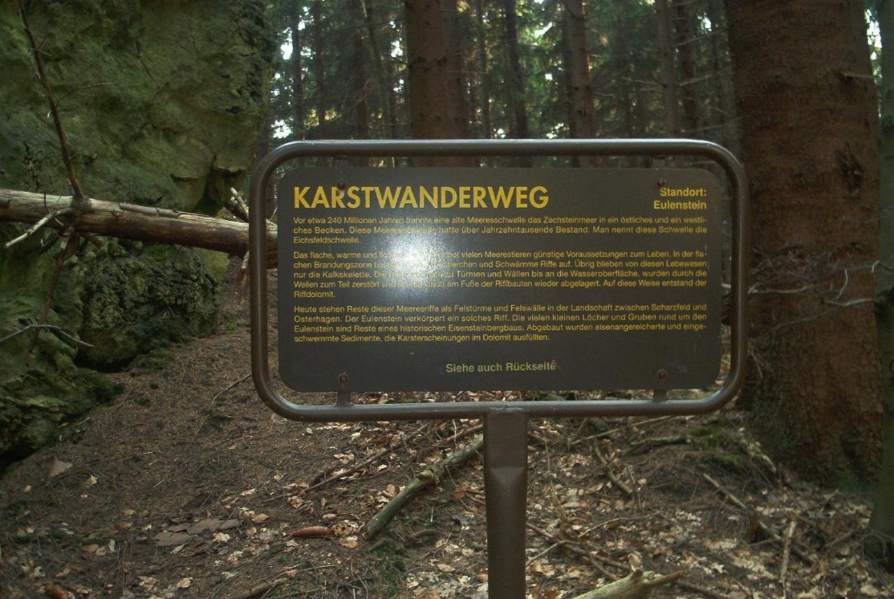 Ferienwohnungen Stricker Harz Walkenried Eksteriør bilde